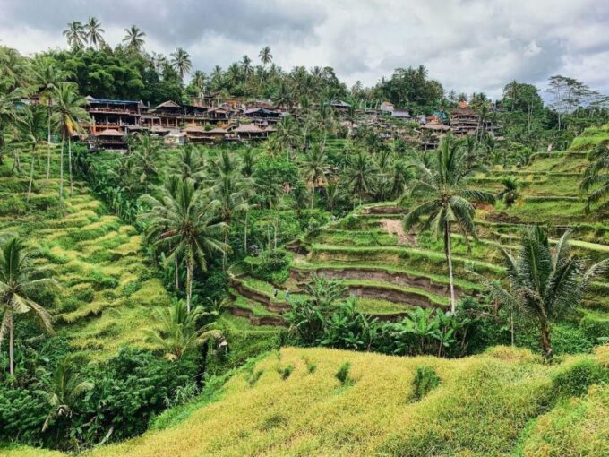 Mount Batur: Sunrise Trek & Ubuds Best Sights Experience - Frequently Asked Questions