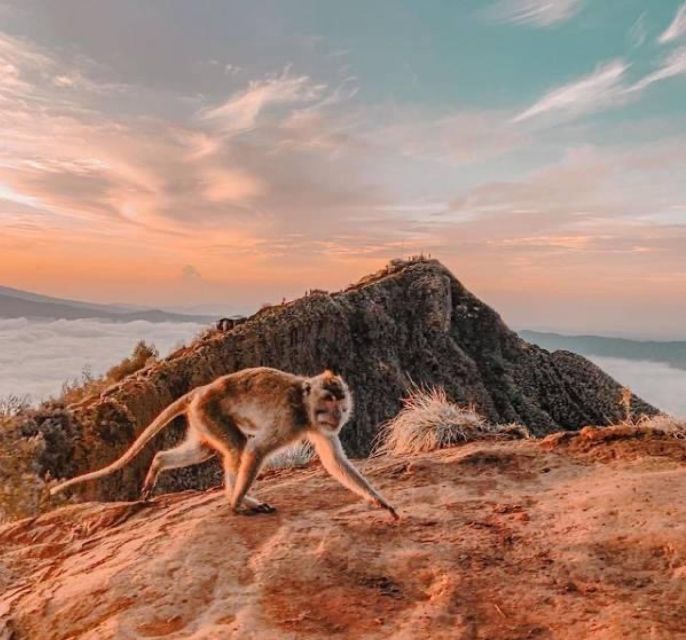 Mount Batur Sunrise Trek With Breakfast Cooked By Hot Steam - Included Amenities