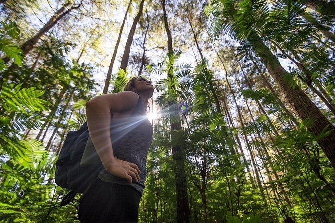 Mount Batur Sunrise Trekking - Frequently Asked Questions