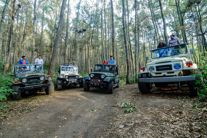 Mount Batur Trekking by 4wd Jeep - Tour Inclusions
