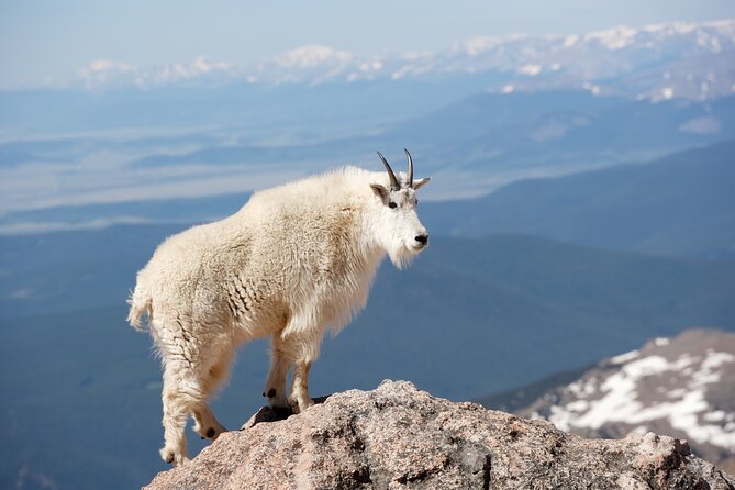 Mount Blue Sky Alpine Summit & Red Rocks Tour From Denver - Accessibility and Age Restrictions