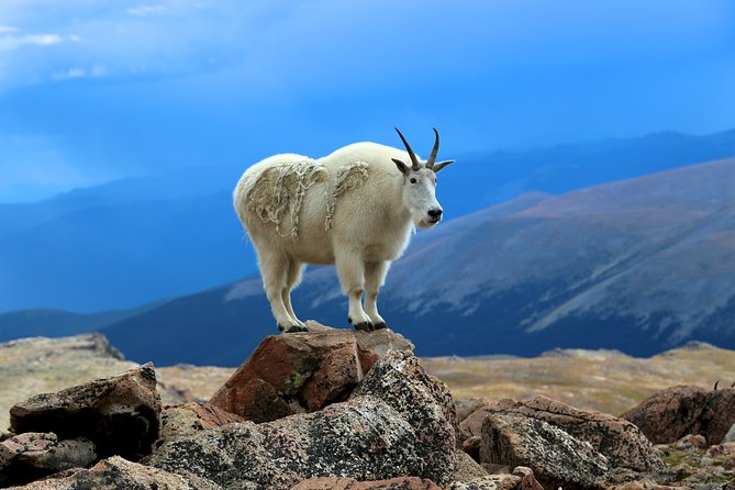Mount Blue Sky & Red Rocks Tour From Denver - Inclusions