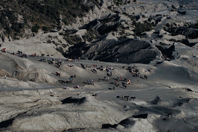 Mount Bromo & Ijen & Madakaripura Waterfall Tour (4D3N) - Hotel - Meeting, Pickup, and Customer Insights