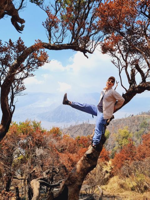 Mount Bromo Sunrise 1 Day Private Tour From Surabaya/Malang - Key Points