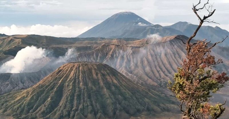 Mount Bromo Sunrise 1 Day Private Tour From Surabaya/Malang - Itinerary Highlights