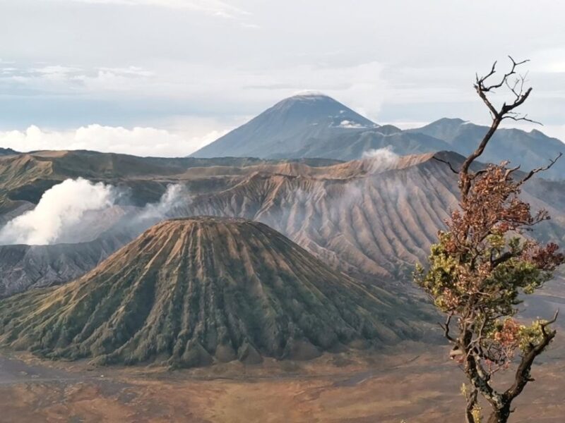Mount Bromo Sunrise 1 Day Private Tour From Surabaya/Malang - Key Features