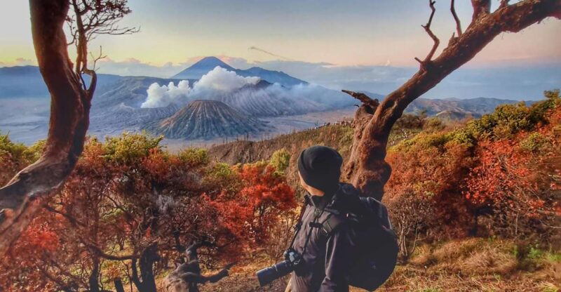 Mount Bromo Sunrise and Madakaripura Waterfall 1 Day Tour - Sunrise at Mount Bromo