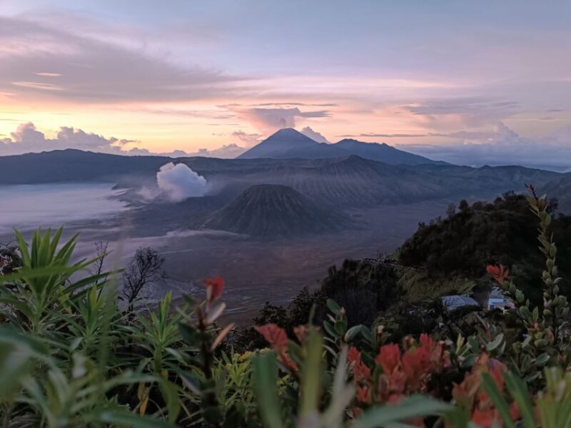 Mount Bromo: Sunrise Guided Tour With Optional Transfer - Key Points