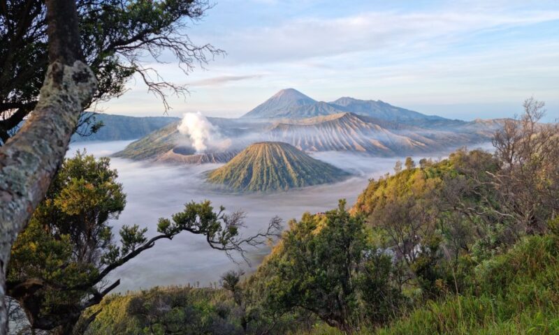 Mount Bromo: Sunrise Guided Tour With Optional Transfer - Experience Highlights
