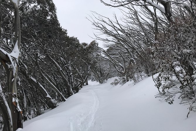 Mount Buller Snow Day Boutique Trip - Max 11 People - Inclusions and Exclusions