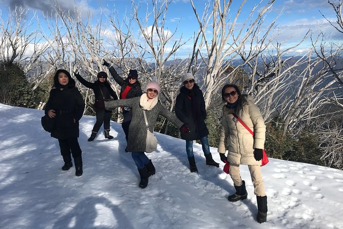 Mount Buller Snow Day Boutique Trip - Max 11 People - Safety Measures