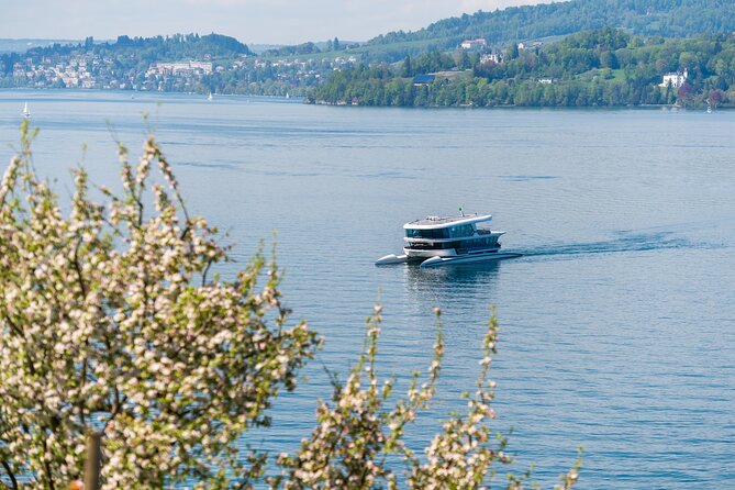 Mount Bürgenstock Independent Tour From Lucerne - Traveler Experiences