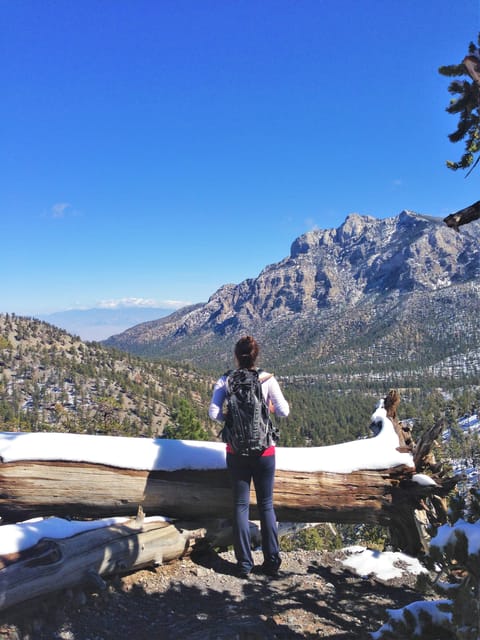Mount Charleston Driving Adventure: Escape to Nature - Itinerary and Experience