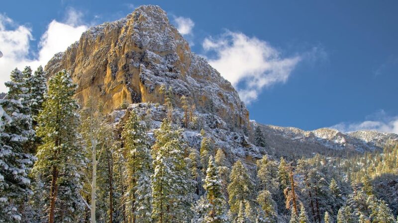 Mount Charleston Driving Adventure: Escape to Nature - Diverse Landscapes