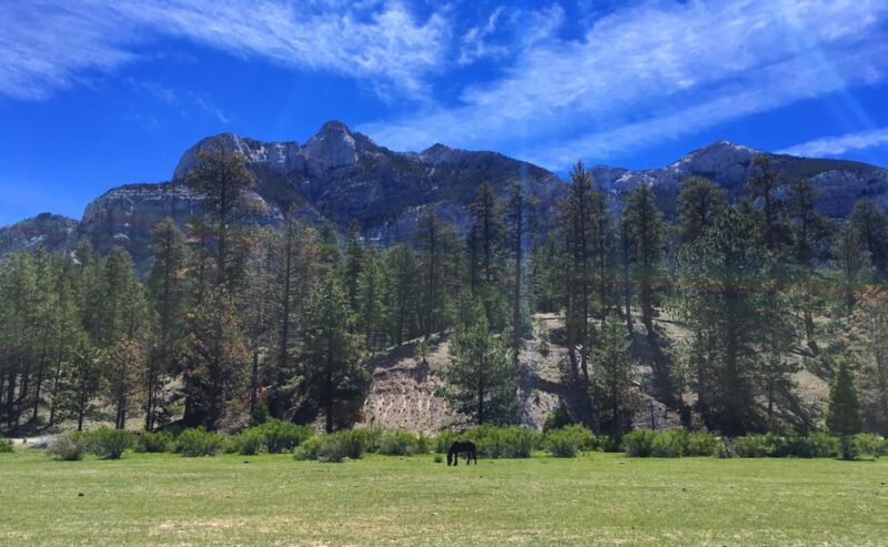 Mount Charleston Driving Adventure: Escape to Nature - Outdoor Activities