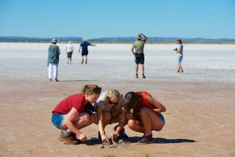 Mount Conner 4WD Small Group Tour From Ayers Rock - Luxury 4WD Experience