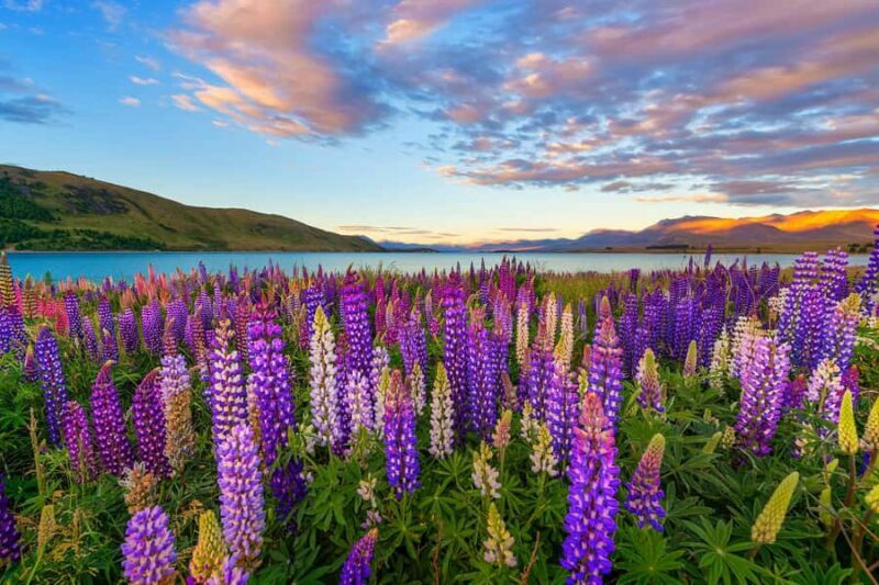 Mount Cook Day Tour from Christchurch - Returning to Christchurch
