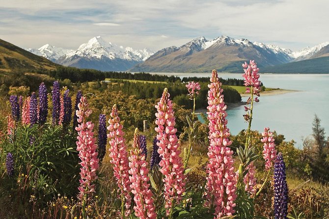 Mount Cook Day Tour From Christchurch - Tour Capacity and Confirmation