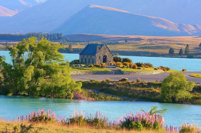 Mount Cook, Lake Tekapo and Tasman Glacier Tour From Christchurch - Customer Feedback