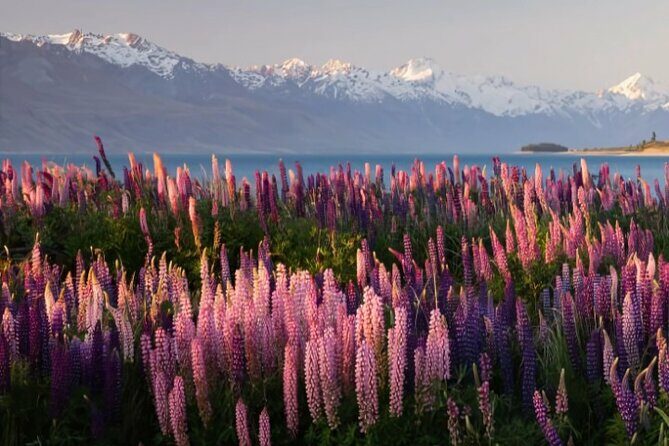 Mount Cook & Lake Tekapo Day Trip from Christchurch - Final Thoughts