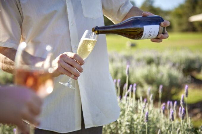 Mount Cotton: Paddock Picnic With Wine Tasting for Two - Premium Wine Tasting