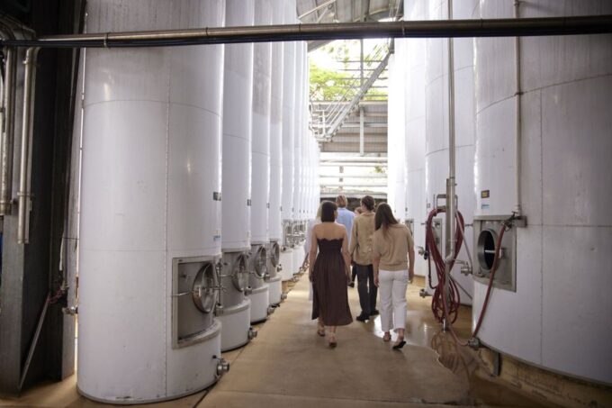 Mount Cotton: Winery Tour & Tasting With 3-Course Lunch - Included Transportation