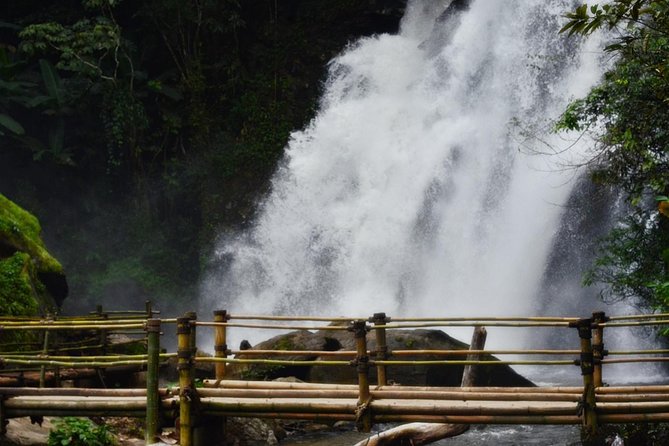Mount Doi Inthanon Hiking & Bird Watching - Customer Feedback and Pricing
