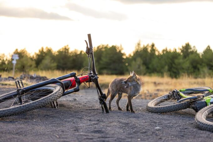Mount Etna: All Around on E-Bike - Cancellation Policy