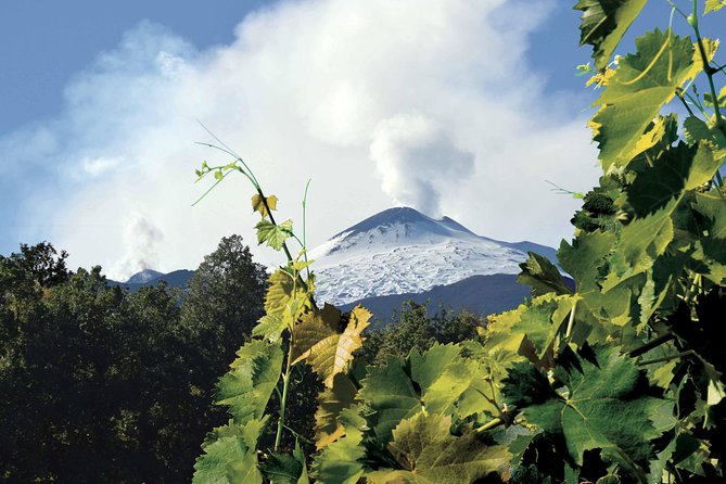 Mount Etna and Wines Tour - Highlights of the Tour