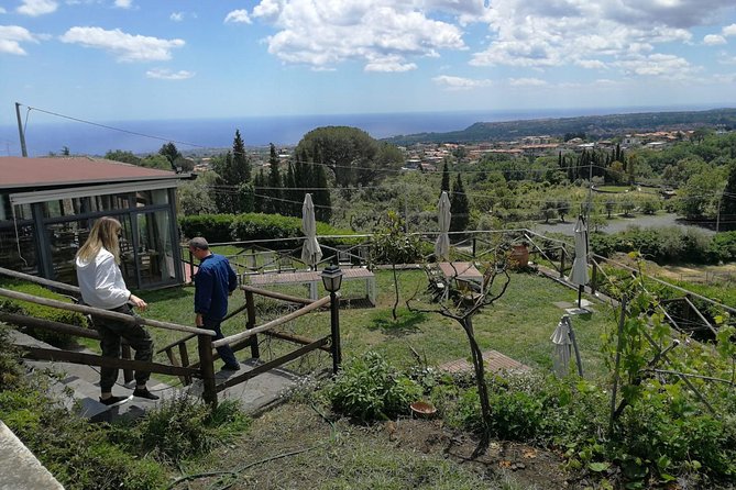 Mount Etna and Wines Tour - Cancellation Policy
