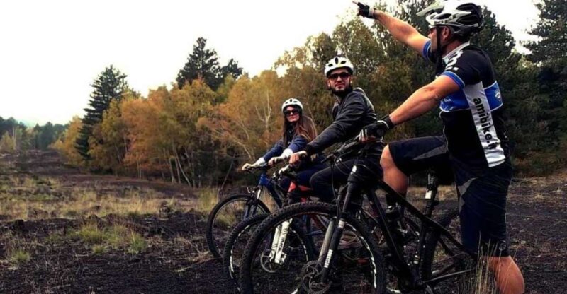 Mount Etna: Guided Mountain Bike Tour - Activity Highlights