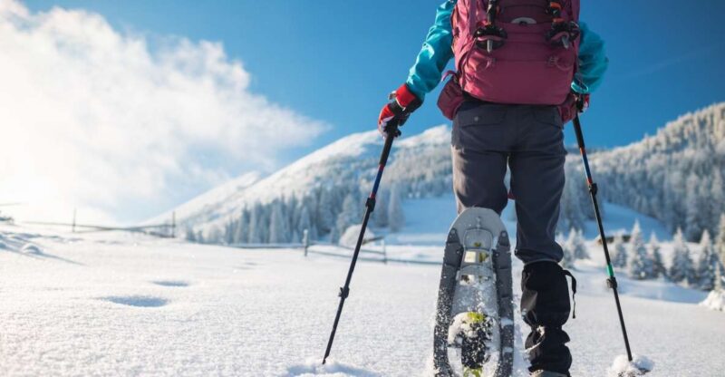 Mount Etna: Guided Snowshoeing Trekking Tour - Trekking Experience