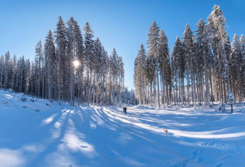 Mount Etna: Guided Snowshoeing Trekking Tour - Included Amenities