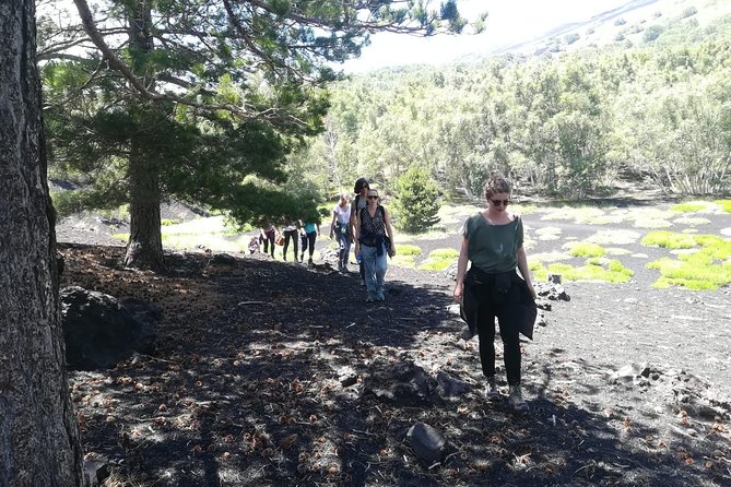 Mount Etna Half-Day Tour - Small Groups From Taormina - Sicilian Snacks and Wine Tasting