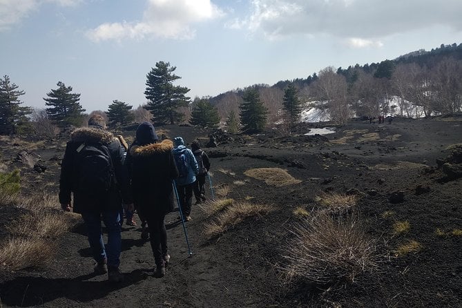 Mount Etna Half-Day Tour - Small Groups From Taormina - Confirmation and Booking Details
