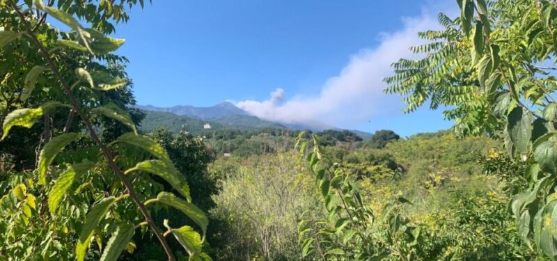 Mount Etna Jeep Tour With Lunch From Taormina - Experience Highlights