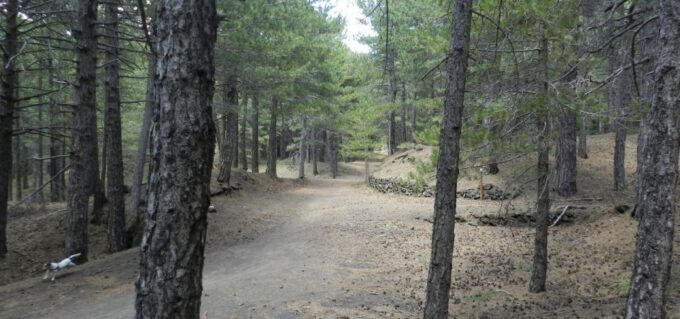 Mount Etna Jeep Tour With Lunch From Taormina - Savoring Local Cuisine and Drinks