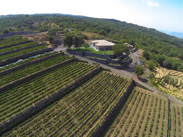 Mount Etna, Lunch in a Winery and Taormina Private Day-Trip From Messina - Customer Reviews and Recommendations