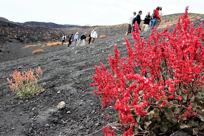 Mount Etna Morning Trip - Whats Included