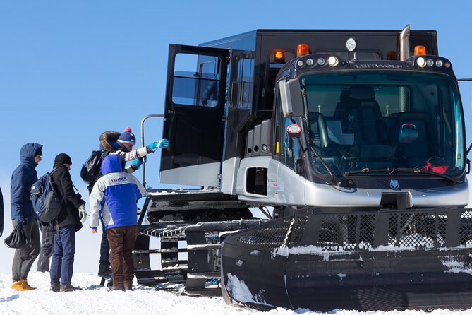 Mount Etna Southern Slope: Ticketing for the Etna Cable Car - Availability and Ticket Selection