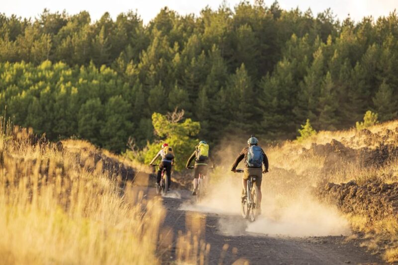 Mount Etna: Sunset E-bike Excursion - Restrictions and Requirements