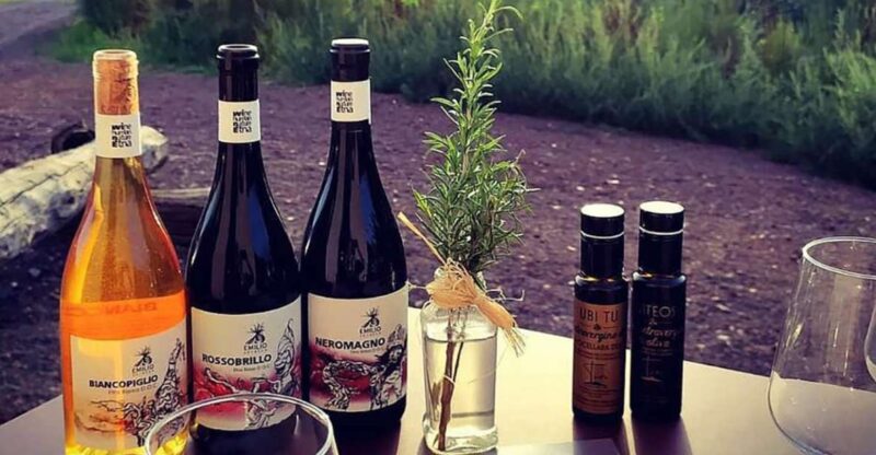 Mount Etna: Tasting and Winery Tour - Key Points