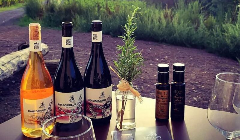 Mount Etna: Tasting and Winery Tour - Transportation and Pickup Details
