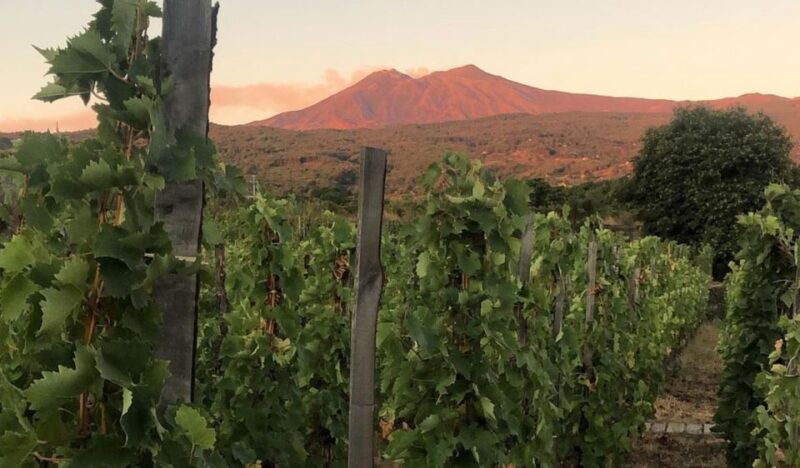 Mount Etna: Tasting and Winery Tour - Suitability and Recommendations