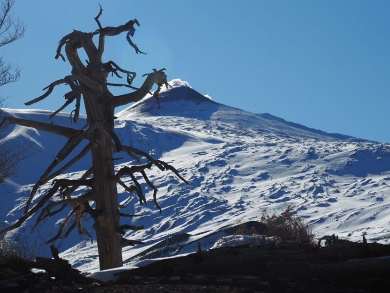 Mount Etna: Trek to the Craters of The 2002 Eruption - Highlights of the Tour