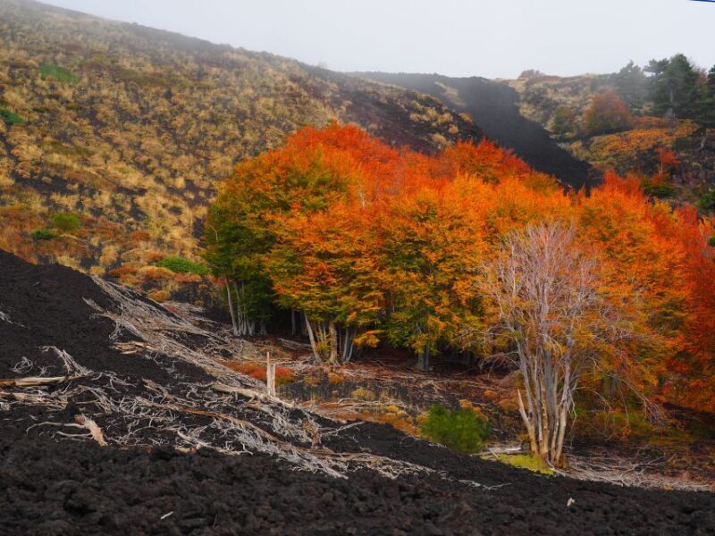 Mount Etna: Trek to the Craters of The 2002 Eruption - Guidelines for Participants
