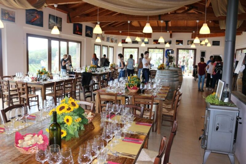 Mount Etna: Winery Tour and Tasting - Experience Highlights