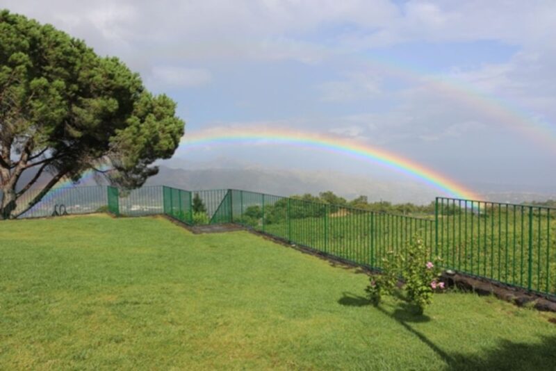 Mount Etna: Winery Tour and Tasting - Wine Tasting and Food Pairing