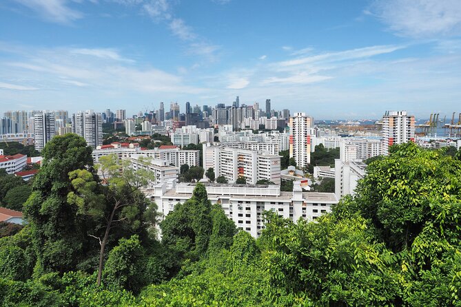 Mount Faber, Henderson Waves and Southern Ridges Tour - Tour Overview