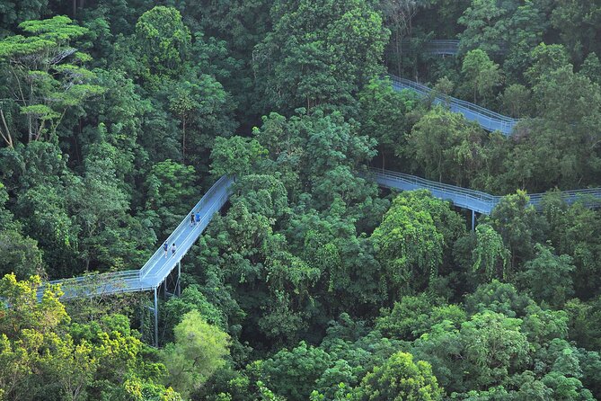 Mount Faber, Henderson Waves and Southern Ridges Tour - Ascending Mount Faber